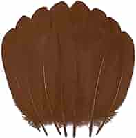 flowerlower320design Brown Feather 50 Pieces Gray Brown Feather 4-7cm (YM30) - Etsy